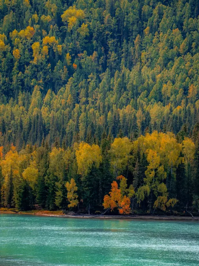 짧은 연휴를 알차게! 하미 등 관광지 여행 가이드, 지금 바로 확인하세요.