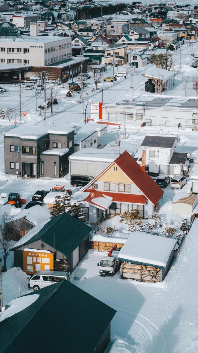 美瑛｜我願稱之為最北海道的城市 慢節奏
