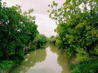 Haokun Wet Land Reserve: Ecological Treasure and Nature Beauty Museum