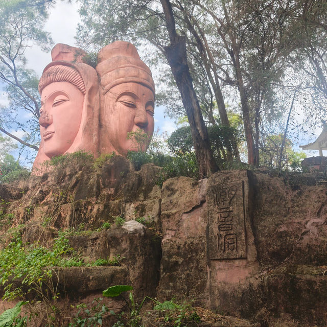 🚶‍♂️【羅湖新玩法！東湖公園郊野徑】  