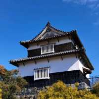 福岡行程：太宰府探古，大濠公園賞景