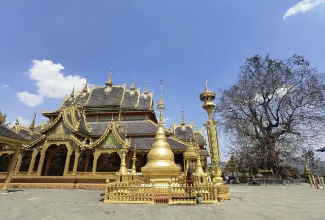 Serendipitous Menghai | Discover the Real Thai Beauty