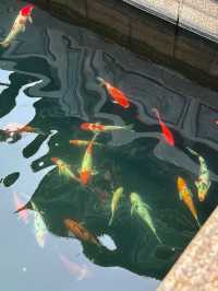 珠海金台寺：塵世之外的清淨梵境