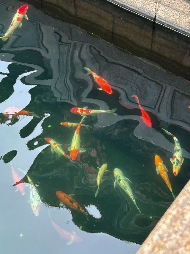 珠海金台寺：塵世之外的清淨梵境