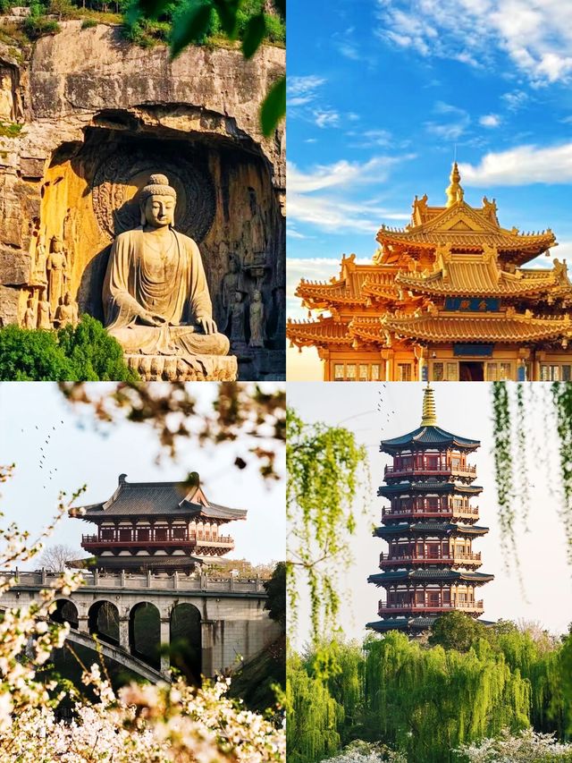 在洛陽玩了幾天，我的消費觀崩塌了。