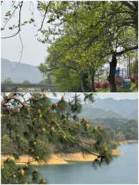 宣城之旅已結束，真心不建議4月去
