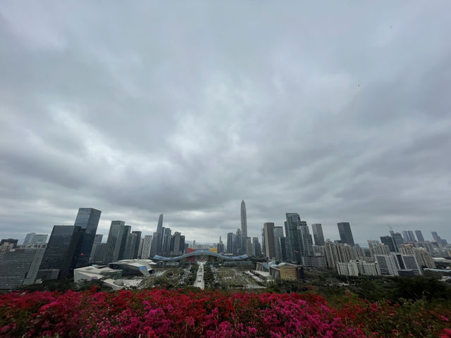 深圳蓮花山公園，登高俯瞰城市天際線🌆