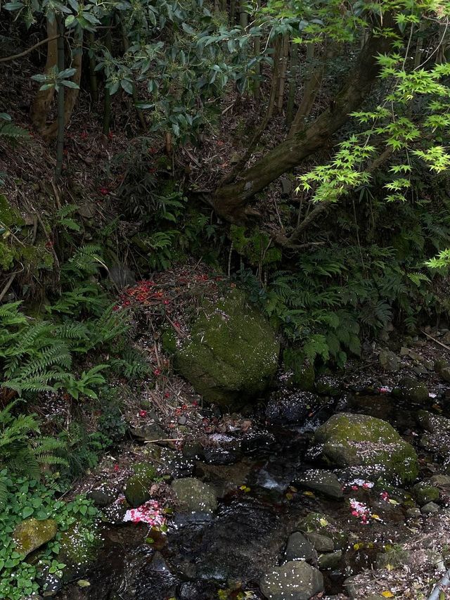 三千院