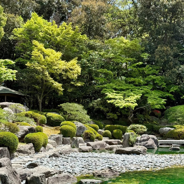 🌸【福岡大濠公園慢遊｜晚櫻與藝術交織的春日治癒時光】