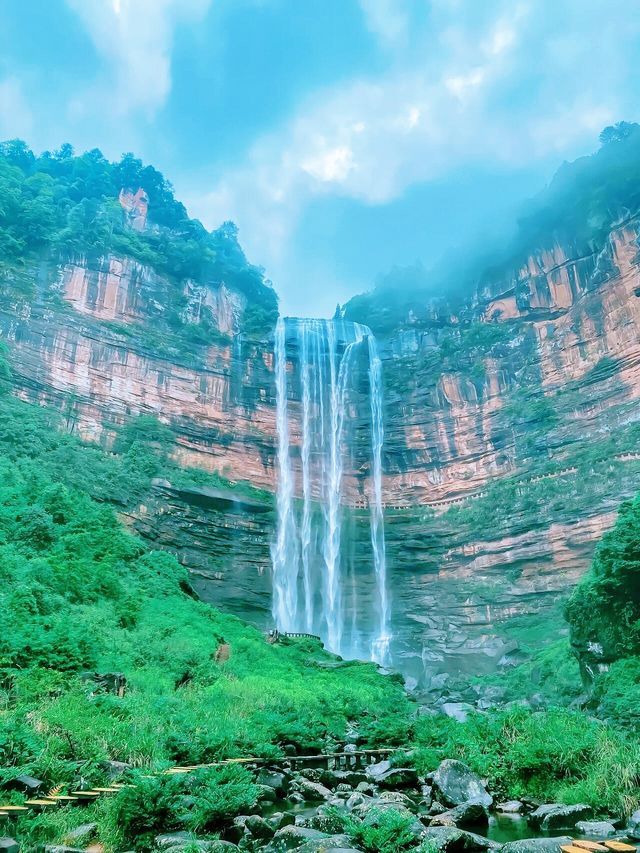賞花採果之旅，體驗田園樂趣