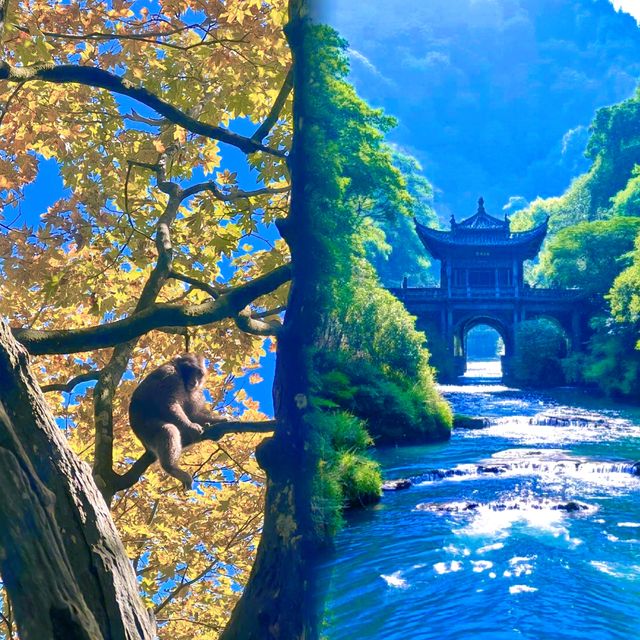 峨眉山：雲海佛光裡的仙境，一場身心的治癒之旅