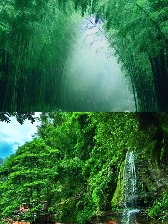 一竹一世界，一步一風景｜蜀南竹海的禪意慢旅行