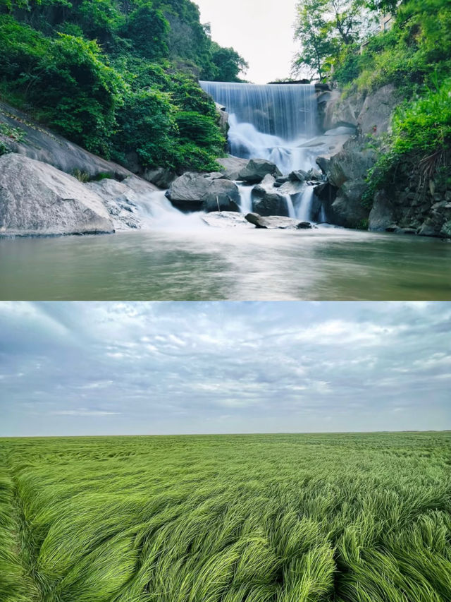 南昌嘅風景太靚啦，今年錯過咗明年仲要等一年