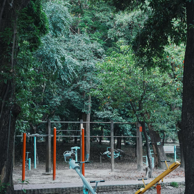 廣州小眾公園！樹木公園 這就是i人最愛的靜謐感吧
