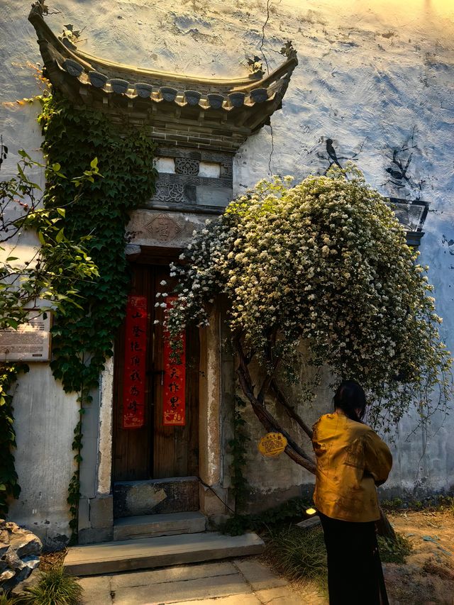 撐起一座古鎮嘅建築群——河下狀元里