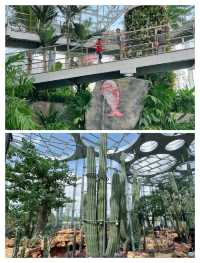 上海必去！呢個公園承包你所有快樂！