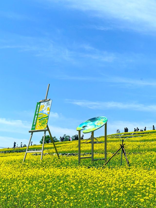 五一節快樂︱芸上梯田，雲下風景