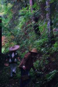 ——喺自然秘境中,喚醒生活嘅詩意