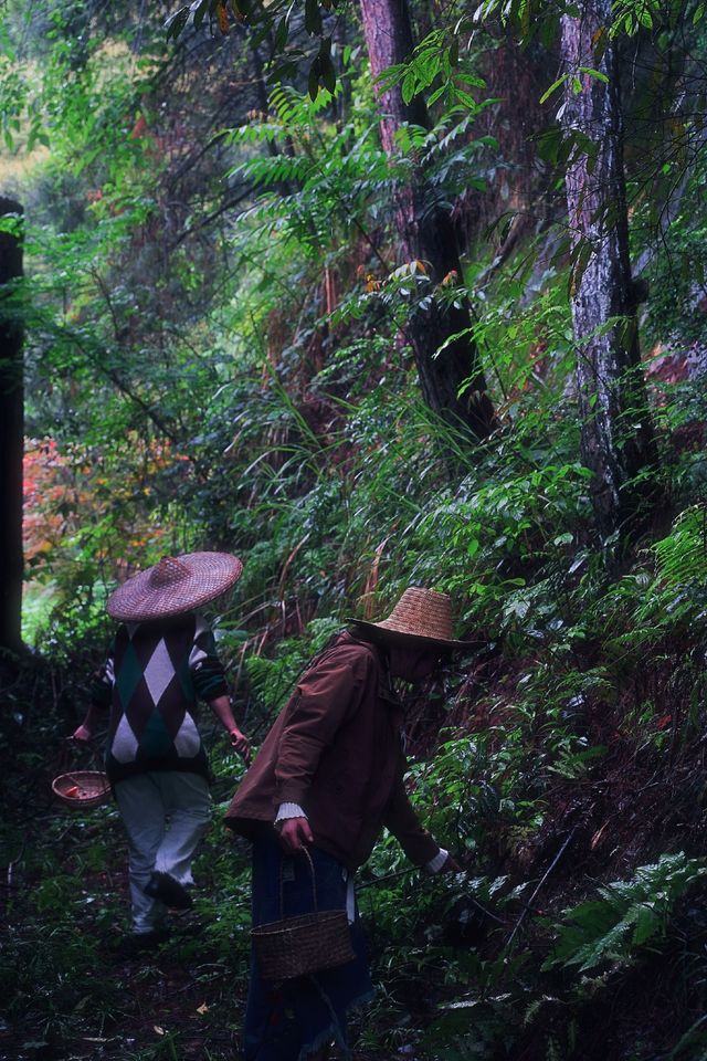 ——喺自然秘境中,喚醒生活嘅詩意 ——喺自然秘境中,喚醒生活嘅詩意