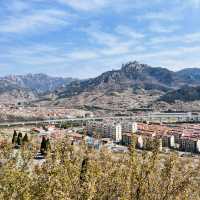 🌸 Springtime Magic at Dalao Cherry Blossom Valley