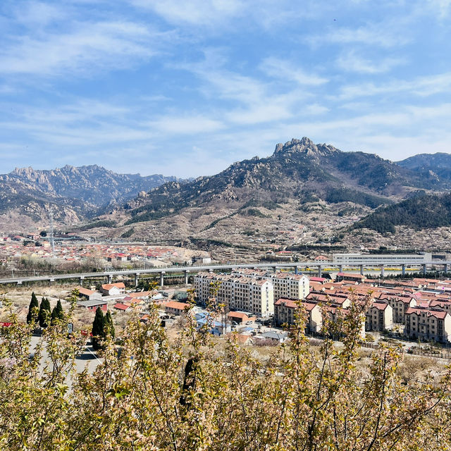 🌸 Springtime Magic at Dalao Cherry Blossom Valley