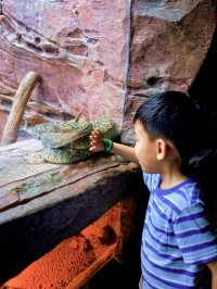 新加坡動物園會懲罰每一個唔做攻略嘅人