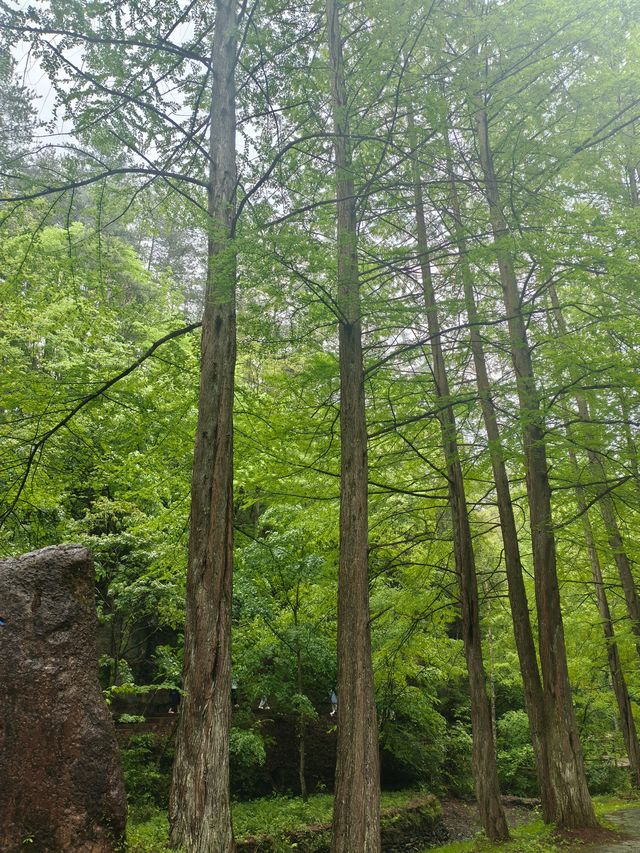 夏季炎熱推薦漢中一些避暑勝地：   - 黎坪國家森林公園：位於南鄭區黎坪鎮，夏季平均氣溫22℃左右。