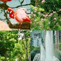 香港動植物公園深度遊｜鬧市綠洲的慢時光探索之旅