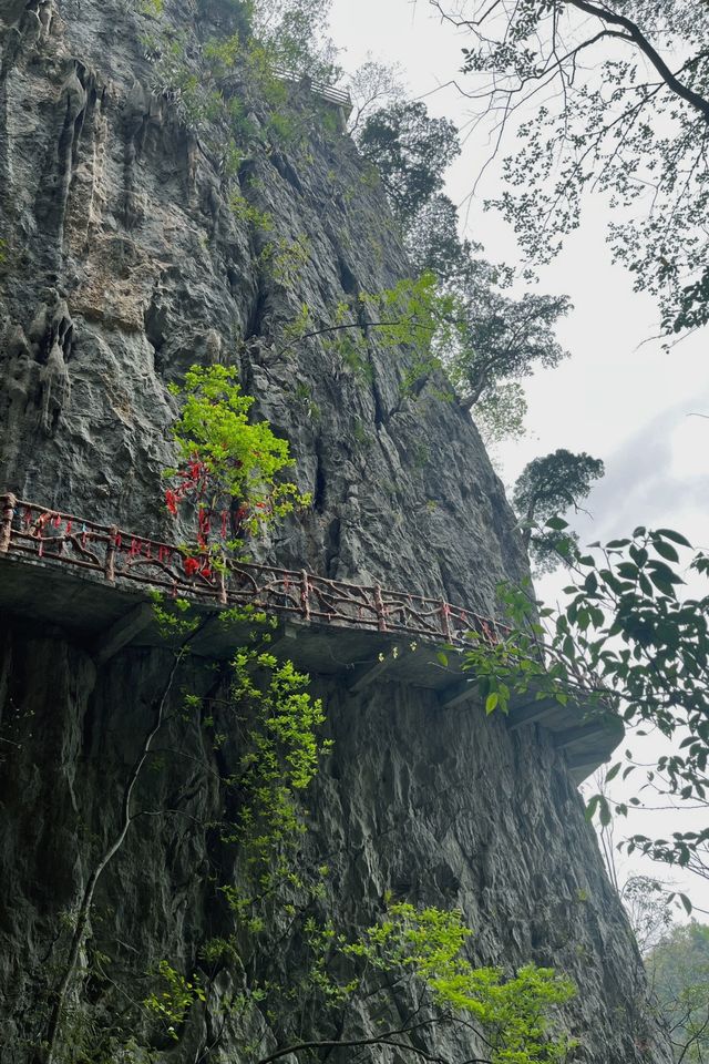 丹爐山奇幻冒險：解鎖小眾寶藏景區攻略