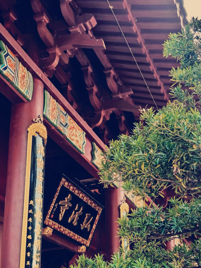 深圳弘法寺｜尋覓心靈淨土的奇幻之旅