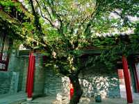 Unlock Xi’an’s Treasures with the Xi’an City Pass: Your Ultimate Travel Companion