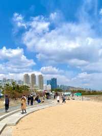 青島小麥島 1 小時打卡攻略地點與交通