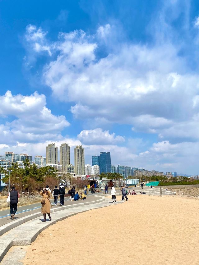 青島小麥島 1 小時打卡攻略地點與交通