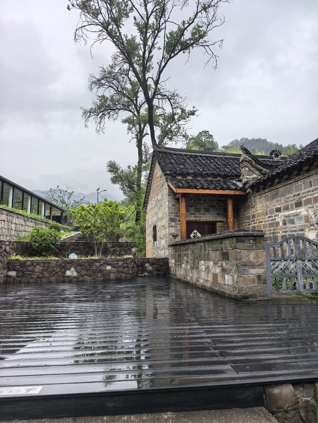 雨後山居：梅雨初霽時，尋一場山野的呼吸