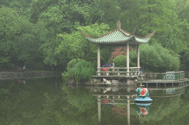 上海の魯迅公園で地元の方々の暮らしを感じて、緑いっぱい浴びてリラックス