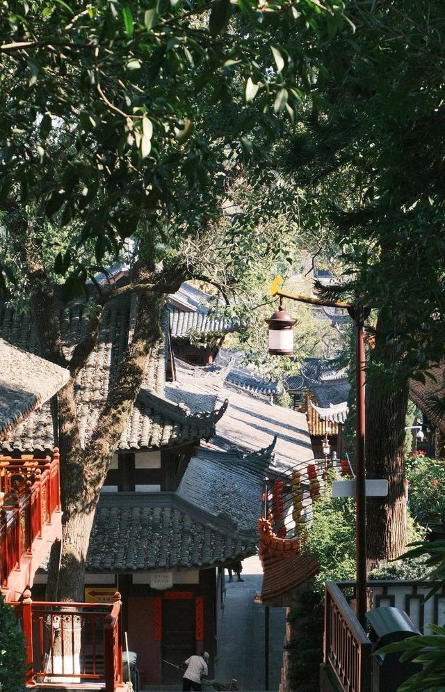 遂寧！萬達廣場！國風茶文化酒店值到喊