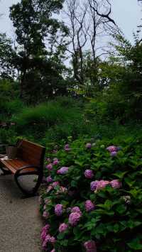 青島中山公園花溪谷