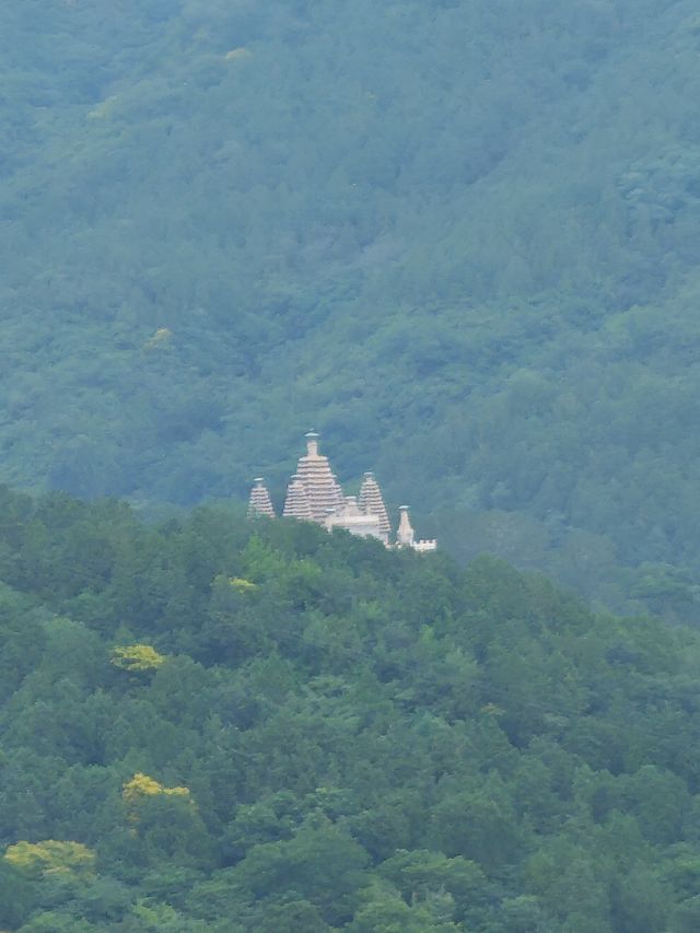 靜宜園裡四處轉轉之探訪青末了——