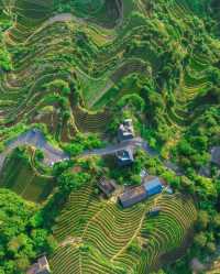 4日暢遊麗水 夏日避暑好去處