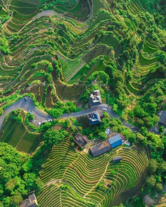 4日暢遊麗水 夏日避暑好去處