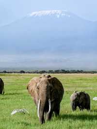 肯尼亞八天七晚Safari旅行流水賬