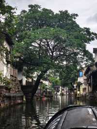 我大概喺紹興遇見咗煙雨江南