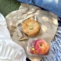 시드니에서 미트 파이 베스트 1위 파이맛집 🥧