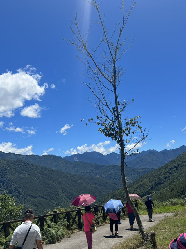 藏在山林裡的寧靜秘境：兩天一夜走進武陵的療癒之旅