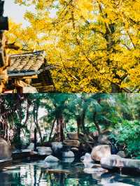 騰沖兩日一夜！秘境之旅｜1000蚊內玩轉邊陲明珠