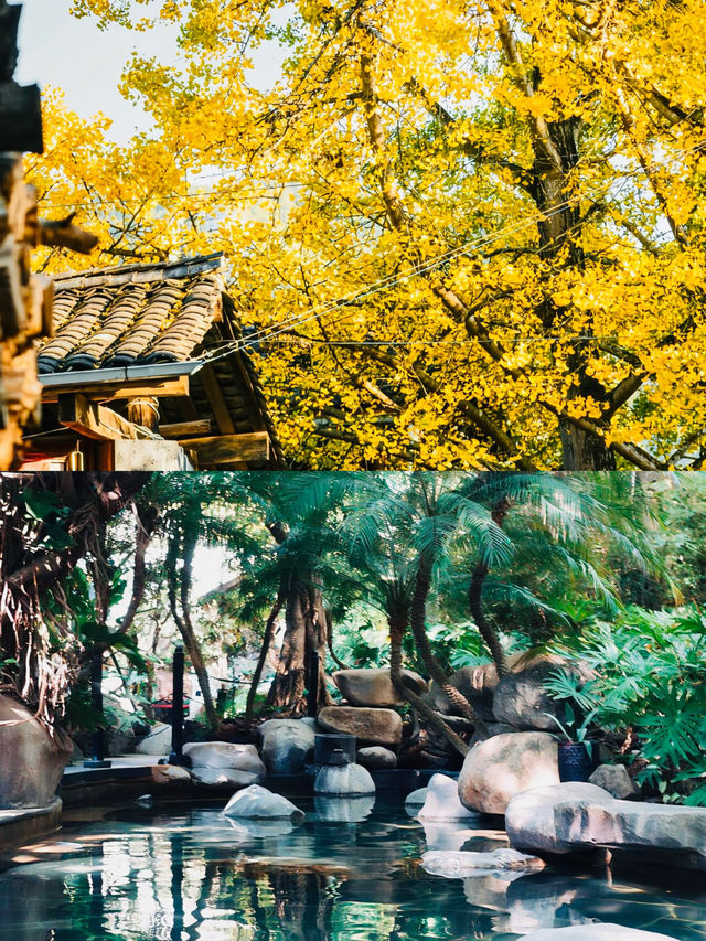 騰沖兩日一夜！秘境之旅｜1000蚊內玩轉邊陲明珠