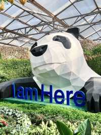 ✅ Global innovations – See how China leads in smart agriculture!