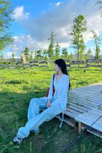 溫州周邊露營天花板｜飛龍湖公園的隱藏彩蛋！