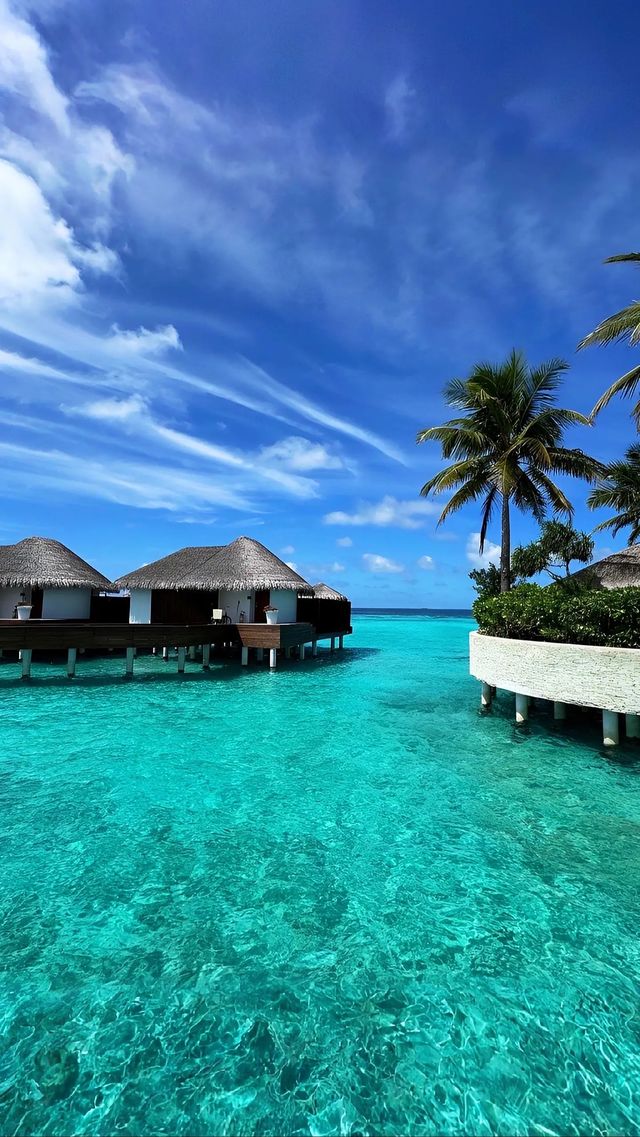 馬爾代夫絕美浮潛地