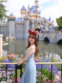 喺迪士尼佛羅里達州酒店同日本女傾咗幾個億項目建設